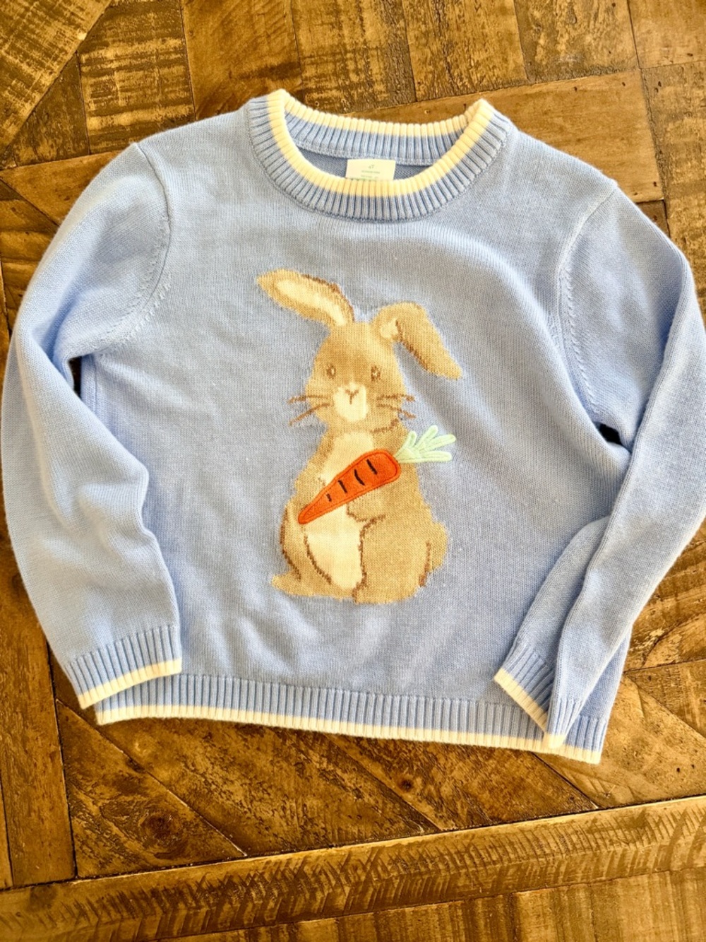 Bunny Rabbit sweater